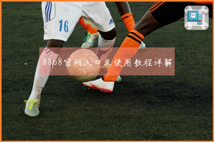 8868官网入口及使用教程详解