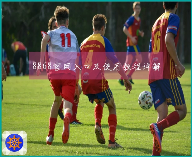 8868官网入口及使用教程详解