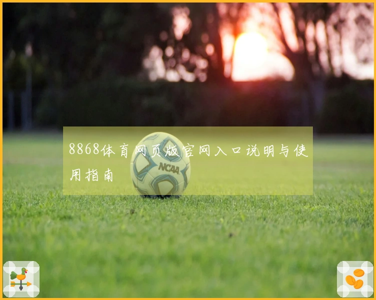 8868体育网页版官网入口说明与使用指南